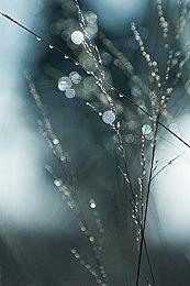 打字策略游戏《指尖传说》现已在Steam平台推出试玩Demo 正式版11月4日发售